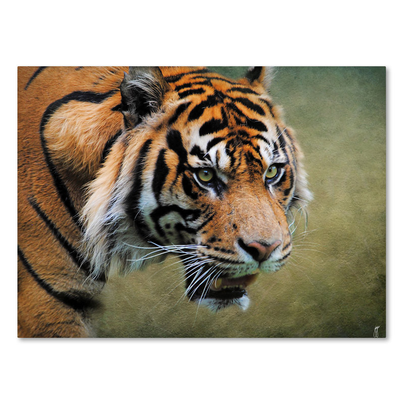 «On the Prowl Bengal Tiger», impression sur toile tendue Vidur, H 35 po x l 47 po