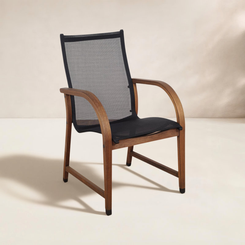 Ensemble de 2 chaises de patio Alyisa, Noir