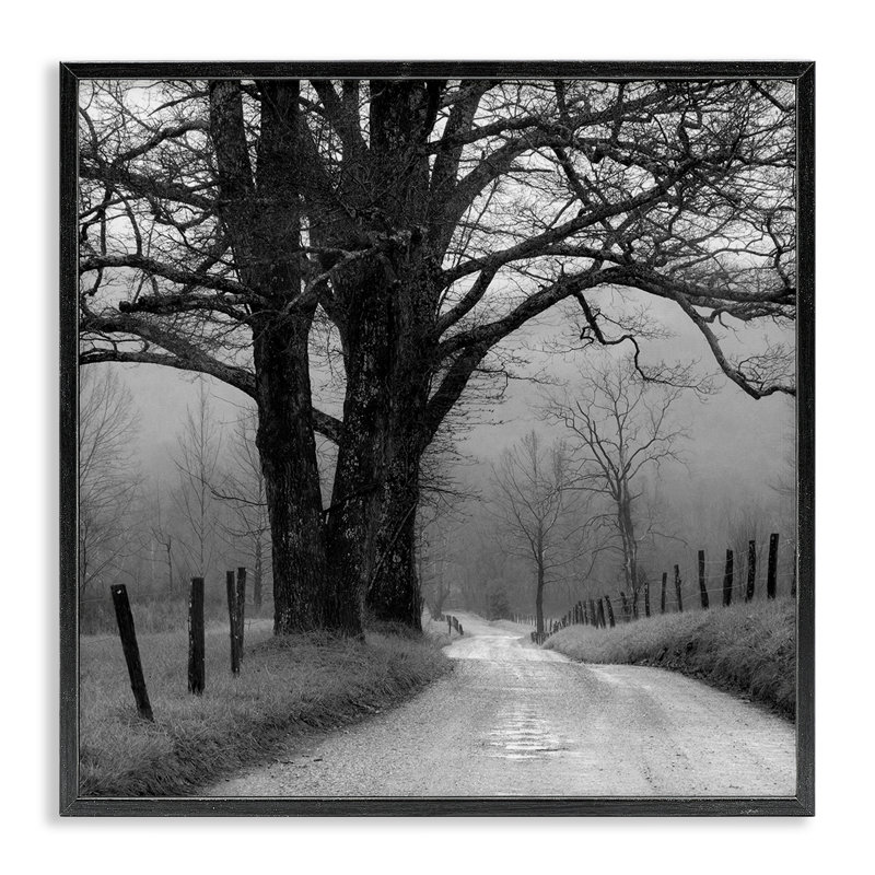 «Lonely Path Vers Trees», art de la giclée encadrée par Nicholas Bell, H 12 po x l 12 po, Giclée encadrée noir minuit