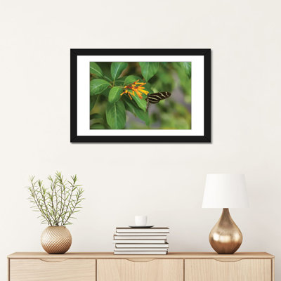 Reproduction de photo sur toile, "reverse of zèbre longwings (heliconius charithonia) à papillon de fleurs, floride, états-unis