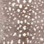 Louis Animal Print Hand-Knotted Wool/Cotton Ivory Area Rug-126288449-58549935