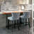 Contemporary Leisure Barstools