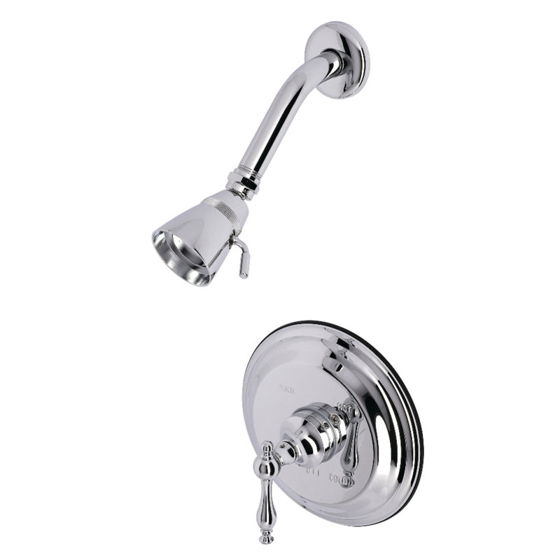 Robinet de douche à contrôle de température, Chrome poli