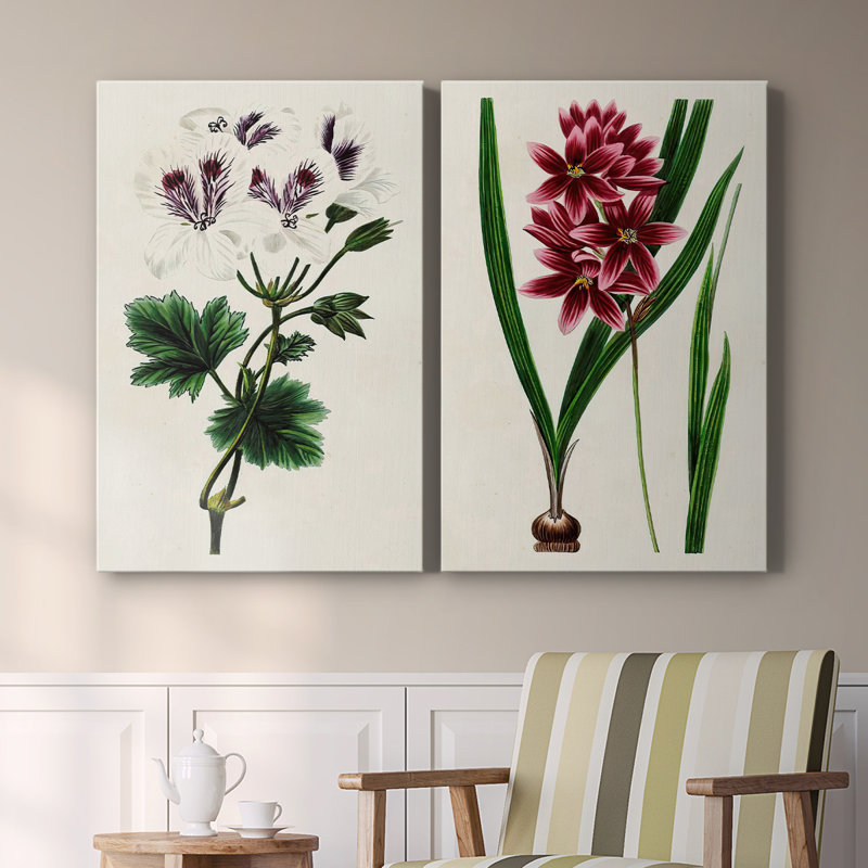 AntiqueFloralFolioIX-Premium Gallery Wrapped Canvas -Ready to Hang, 18" H x 24" W