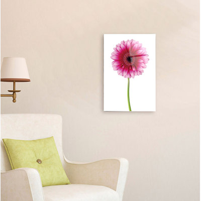 Art mural en acrylique rose marguerite, 20 po x 14 po