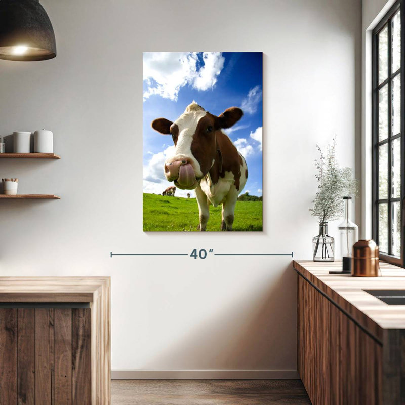 Brampt Cow Licking Nose, 39" H x 26" W