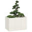 Metal Planter Box-1032581157-1032581147