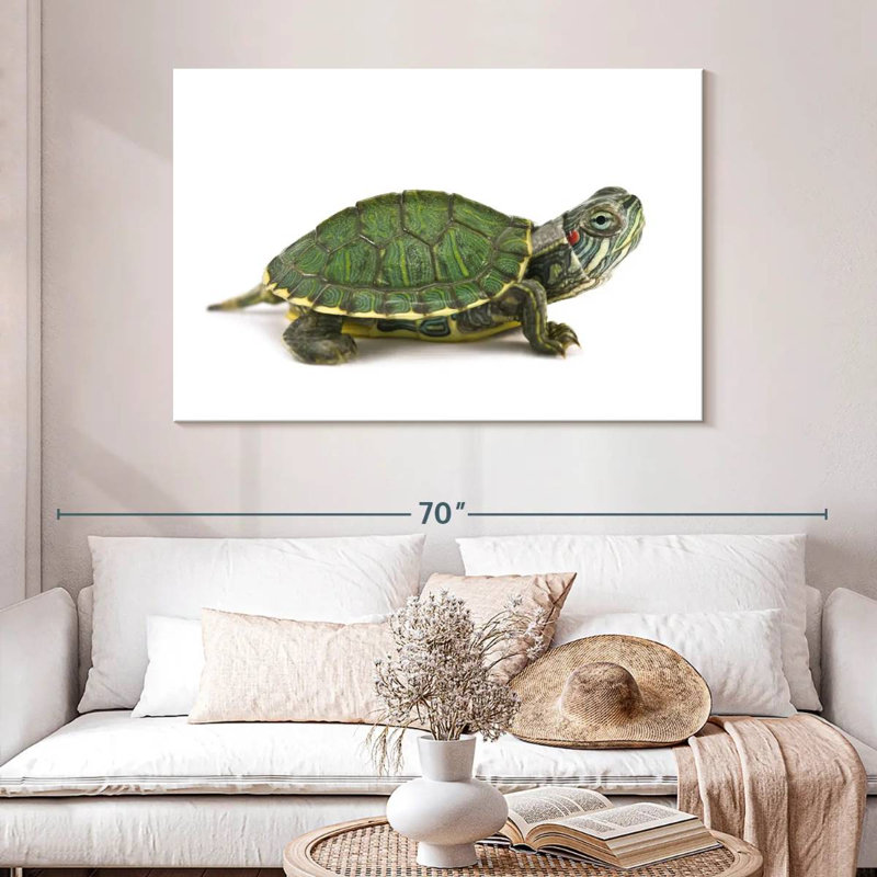 Red Eared Turtle, 30" H x 45" W