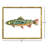 Colorful Trout Framed Art