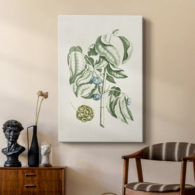 Buchoz Tropicals V - galerie sur mesure Cavas