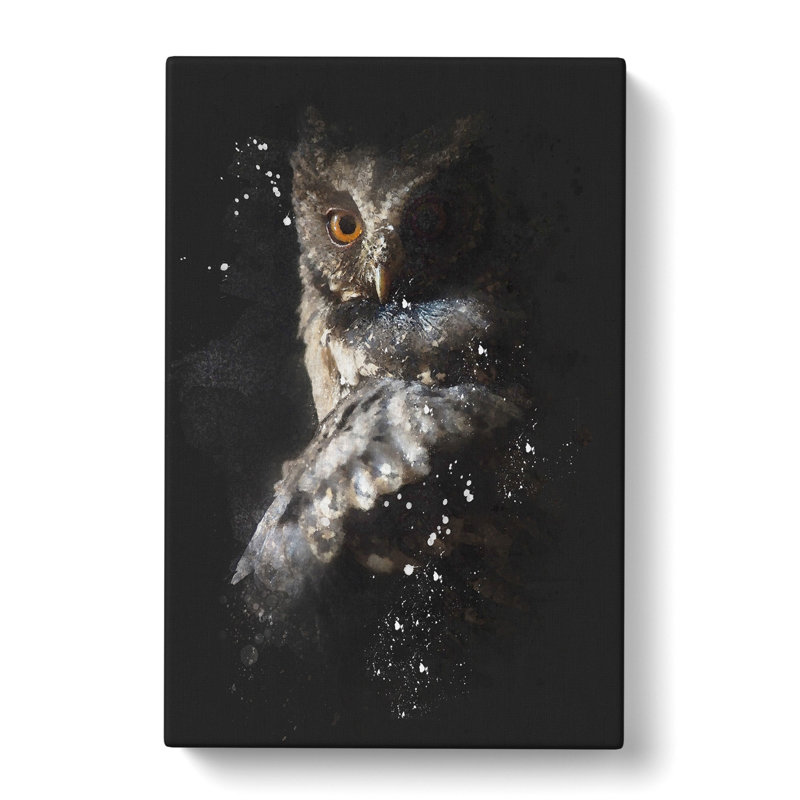 Owl - Wrapped Canvas Print, 91cm H x 60cm W x 3cm D