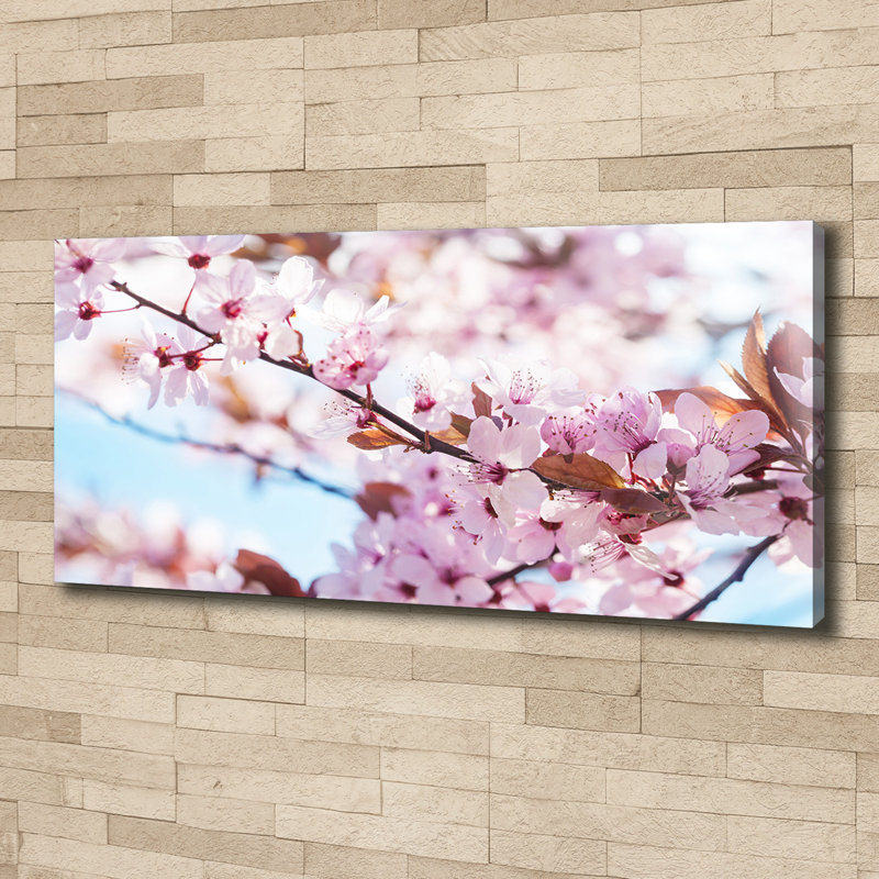 Cherry Blossoms - Wrapped Canvas Print
