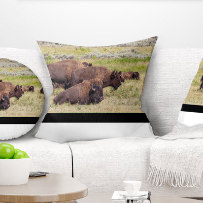 Grazing Gang of Buffalos - Coussin imprimé animal