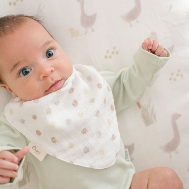 3-pc. Goose Bib Set