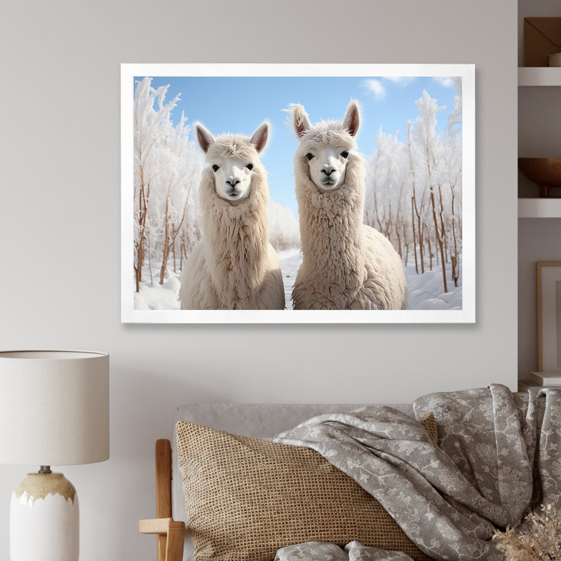 Alpagas Graceful Alpacas III - impression, Cadre photo blanc, H 16 po x l 32 po x P 1 po