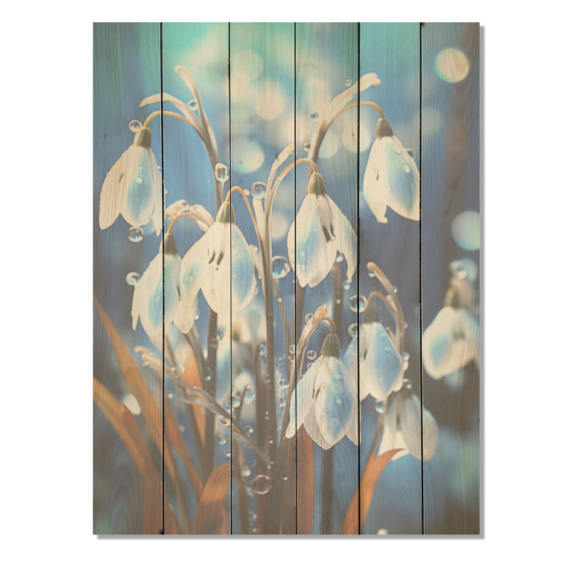 «Winter Snowdrop Flower», photographie d'art sur bois de pin naturel, H 32 po x l 24 po