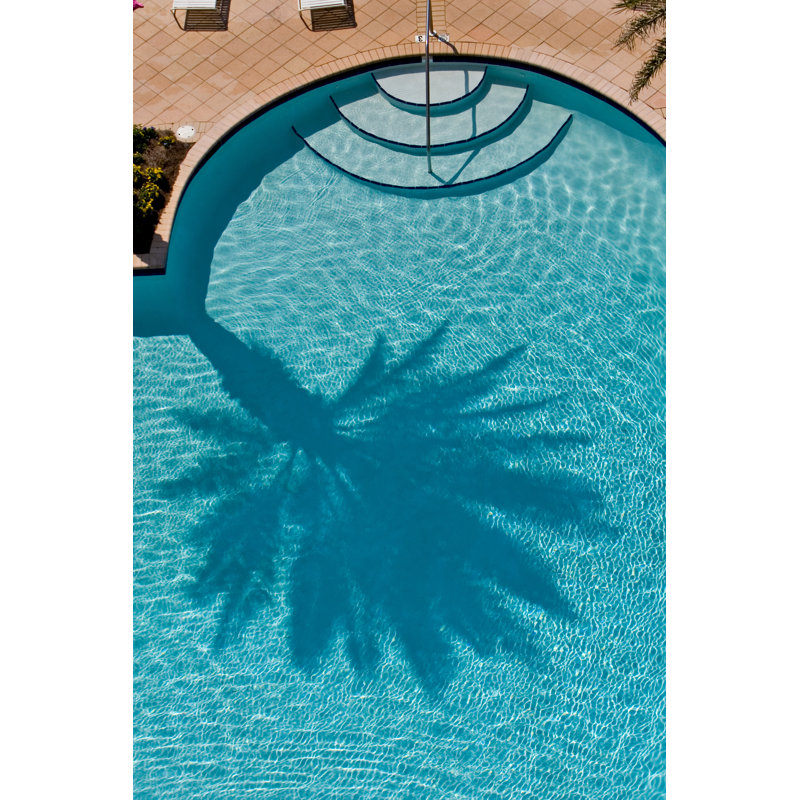 Palm Tree Shadow by Dwhob - Wrapped Canvas Print, 46cm H x 30cm W