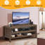 Jayesh Unfinished TV Stand with Fireplace Included