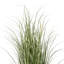 Artificial Potted Native Green Grass.-935786440