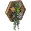 Sculptures Faux Succulent Wall Décor 