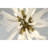 Emmy Murano Round Chandelier-91854578-131066383-91854581