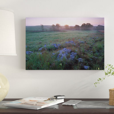 " Misty Morning Over Prairie, Tallgrass Prairie National Preserve, Kansas " by Tim Fitzharris