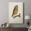 French Owls II - galerie sur mesure-901067882
