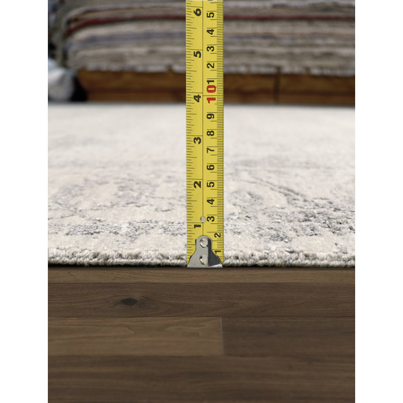 Transitional Silver/Gray Area Rug