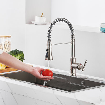 Pull Down Single Handle Kitchen Faucet with Deck Plate