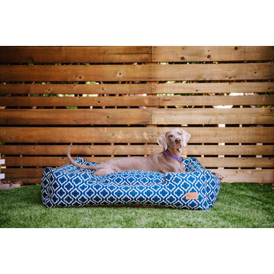 Lit pour chien marocain 