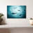 Shark Silhouette-107887738