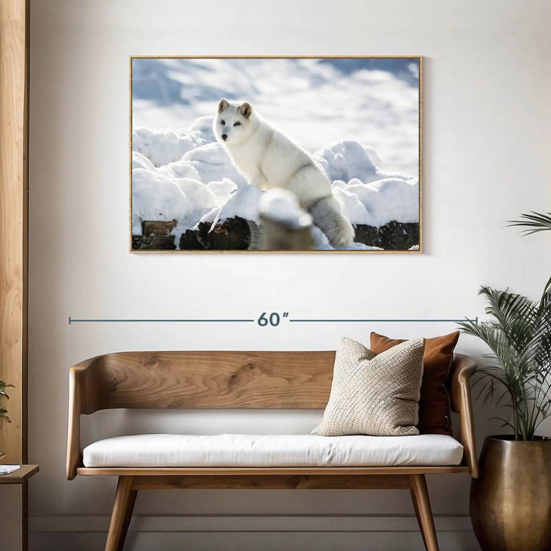 Arctic Fox, 43" X 29", Floating Frame Natural Wood