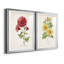«Botanical III», ensemble de 2 reproductions d'impressions-568685776-568685778-568685780
