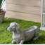 Décoration de jardin pour jardin 20,1 x 6,7 x 11,8 po Manon