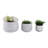 Aedin 3 Piece Dalet Ombre Planters-1037193902
