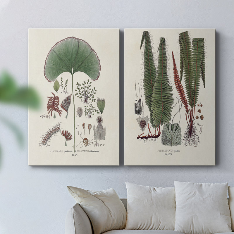 Botanical Society Ferns III - Toile tendue avec châssis de qualité supérieure - Prêt à être accroché, H 18 po x l 24 po