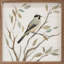 Oiseau seul sur une branche