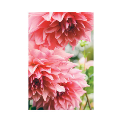 Collaboration by Olivia Joy StClaire - Wrapped Canvas Painting