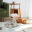 Maison pour chat Elbys