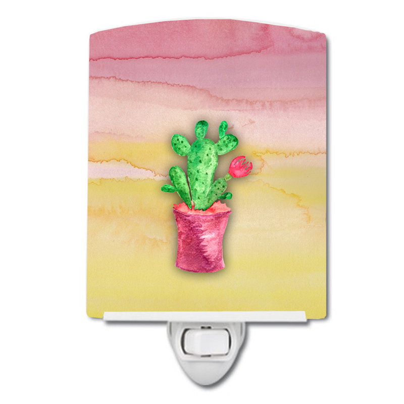 Ampoule de pluie en céramique de cactus floral