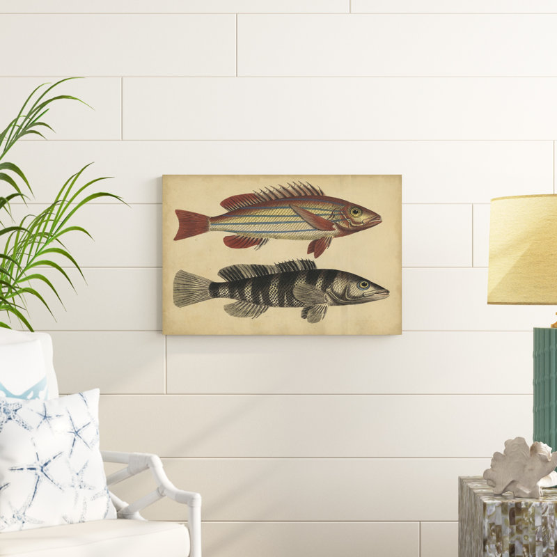 Espèces de poissons III, H 20 po x l 30 po x P 1,25 po