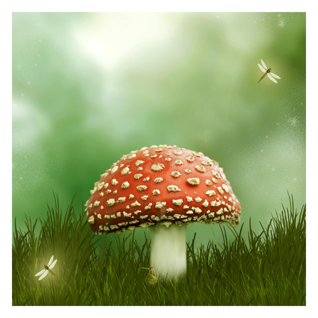 Strukturierte Tapete Toadstool 2,88 m x 288 cm