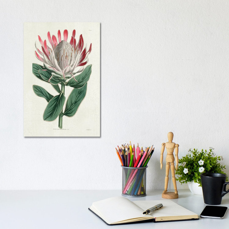 Protea N13 1 Piece Wrapped Canvas Painting, 20.32 cm H x 30.48 cm W
