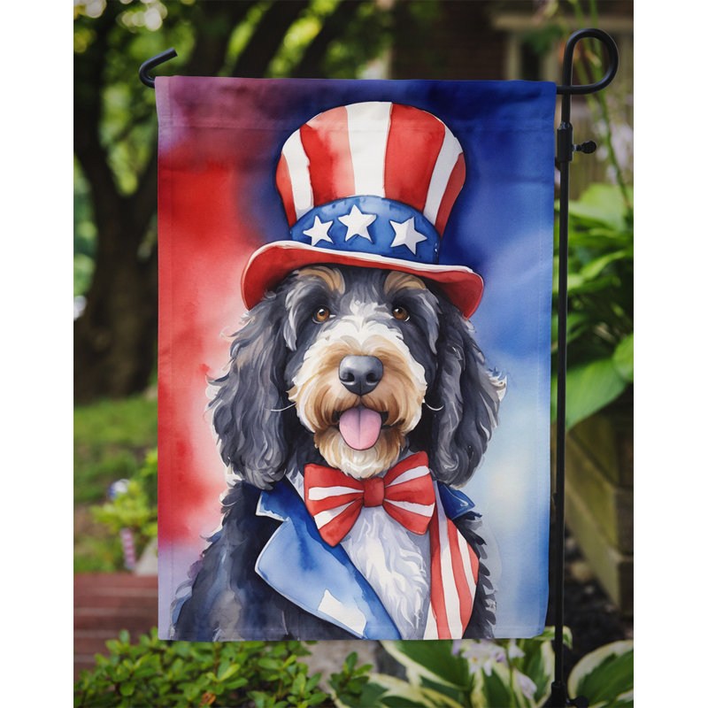 Drapeau patriotique du jardin américain, Bernedoodle