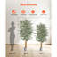 Faux arbre artificiel 6 pi avec plante noire