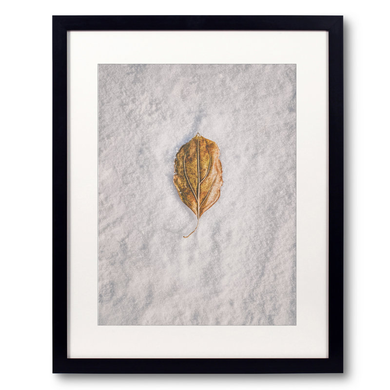 Clash Of Seasons par Scott Norris - Photographie de cadre, L 20 po x H 16 po