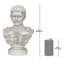 Caesar Primaporta Roman Emperor Bust