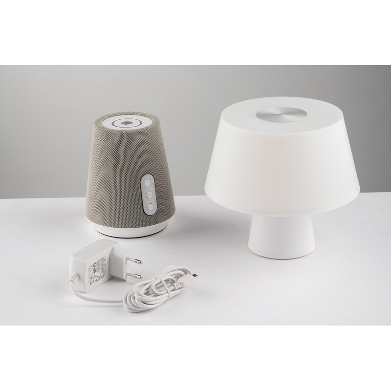 Canye Metal Desk Lamp