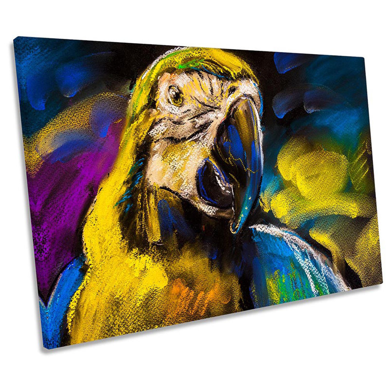 Z6093 Parrot Face Bird - Wrapped Canvas Print, 50.8cm H x 76.2cm W