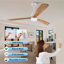 Ventilateur de plafond moderne de 60 pouces avec moteur à courant continu réversible à télécommande 3 lumières à DEL 3 couleurs à intensité variable
